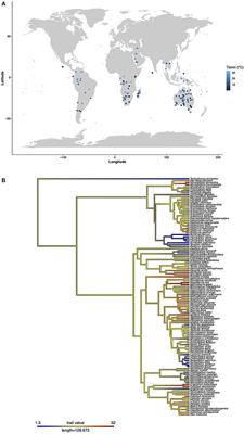 Variable Climates Lead to Varying Phenotypes: “Weird” Mammalian Torpor and Lessons From Non-Holarctic Species